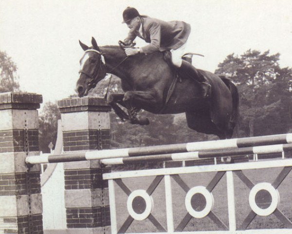 broodmare Gazelle (Anglo-Norman, 1950, from L'Alcazar xx)