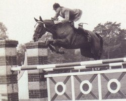 broodmare Gazelle (Anglo-Norman, 1950, from L'Alcazar xx)