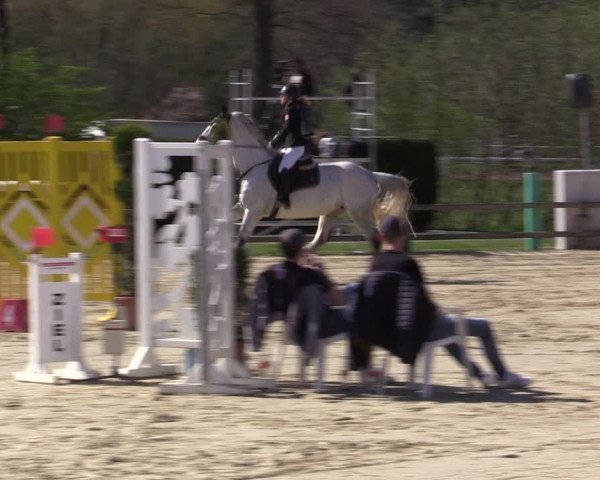 Reitturnier Münster-Handorf | Champs of Tomorrow 2022