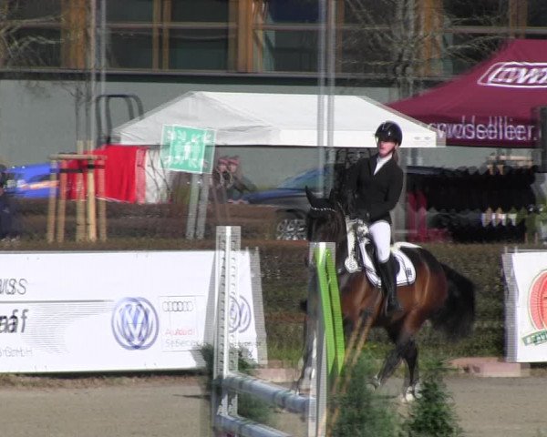 Reitturnier Neustadt/Dosse 2022