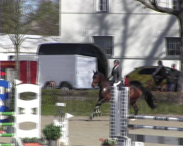 Reitturnier Neustadt/Dosse 2022
