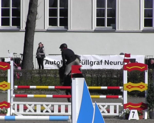 Reitturnier Neustadt/Dosse 2022