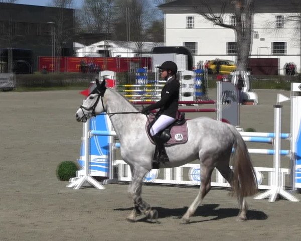 Reitturnier Neustadt/Dosse 2022