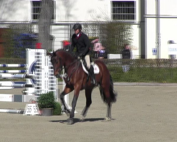 Reitturnier Neustadt/Dosse 2022