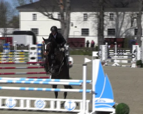 Reitturnier Neustadt/Dosse 2022