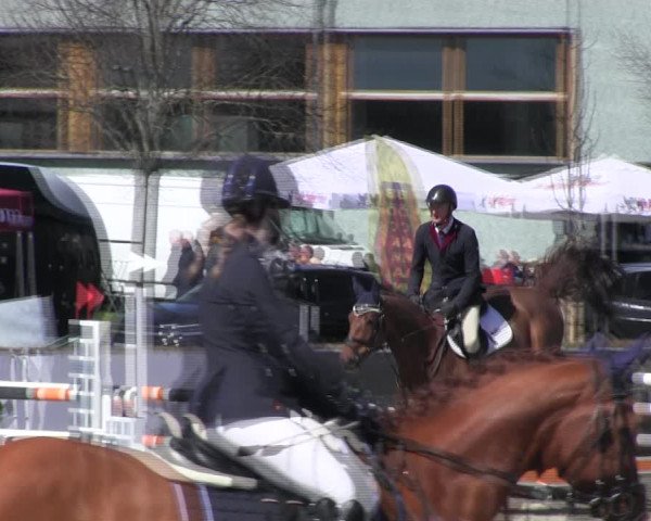 Reitturnier Neustadt/Dosse 2022