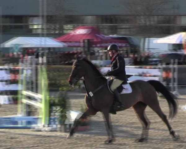 Reitturnier Neustadt/Dosse 2022