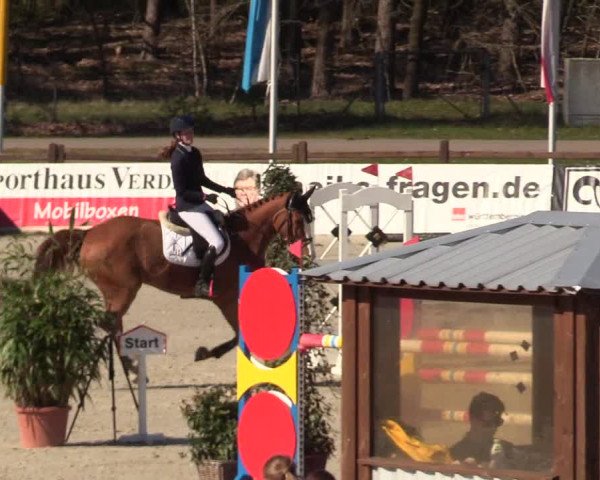 FEI Reitturnier Westergellersen (GER) 2022