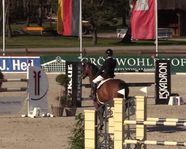 FEI Reitturnier Westergellersen (GER) 2022