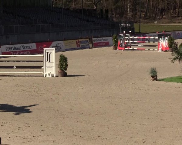 FEI Reitturnier Westergellersen (GER) 2022