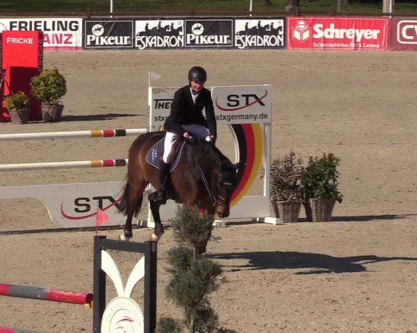 FEI Reitturnier Westergellersen (GER) 2022