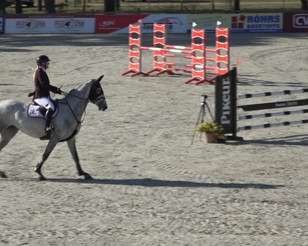 FEI Reitturnier Westergellersen (GER) 2022