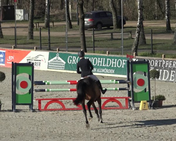 FEI Reitturnier Westergellersen (GER) 2022