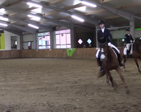 Reitturnier Dohren 2022