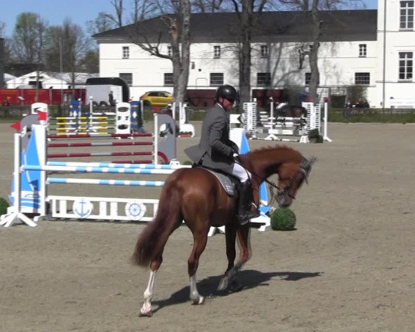 Reitturnier Neustadt/Dosse 2022
