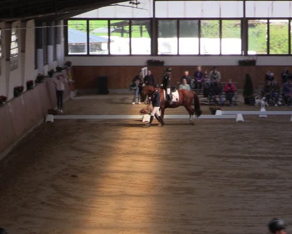 Reitturnier Werne-Lenklar 2022