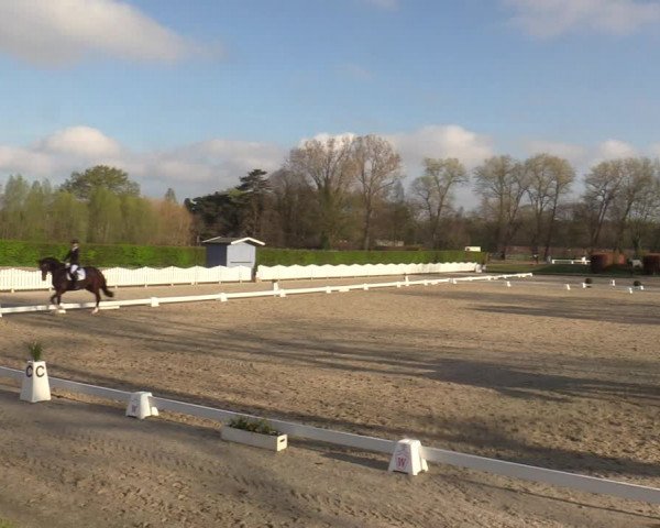 Reitturnier Münster-Handorf | Champs of Tomorrow 2022