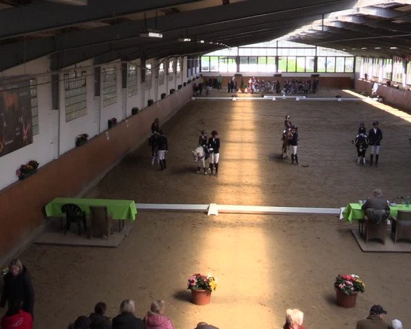 Reitturnier Werne-Lenklar 2022