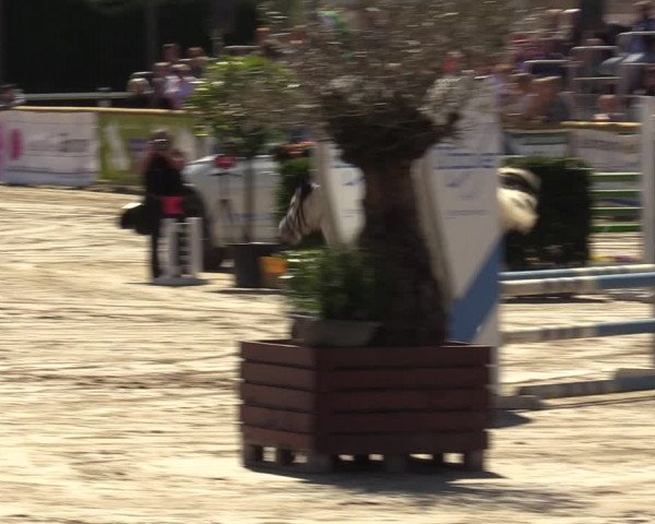 Lenklarer Reitertage 2022 (Werne)