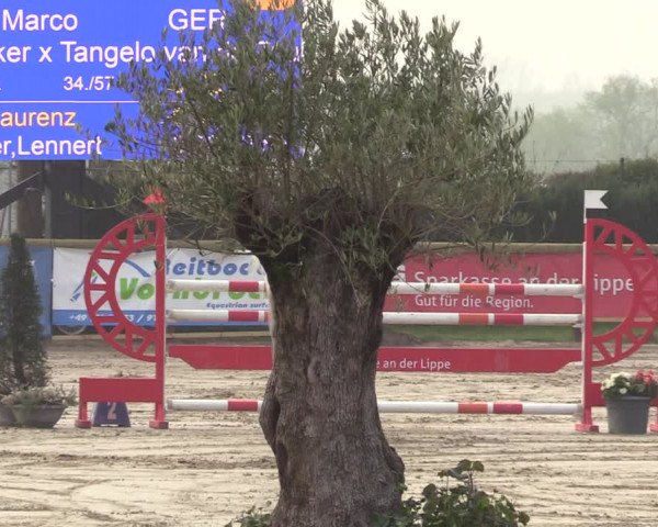 Lenklarer Reitertage 2022 (Werne)