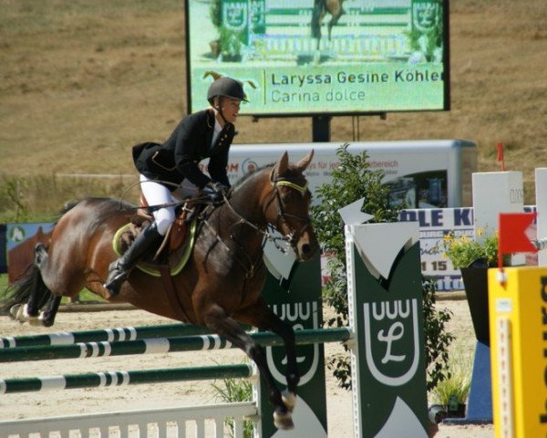 horse Carina dolce (Hanoverian, 2003, from Conteur)