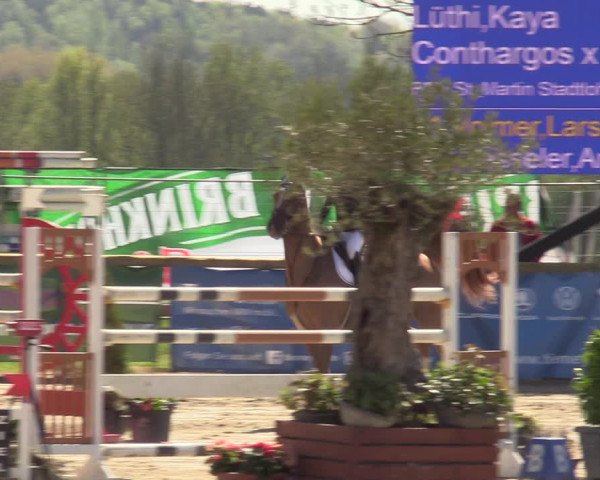 Lenklarer Reitertage 2022 (Werne)
