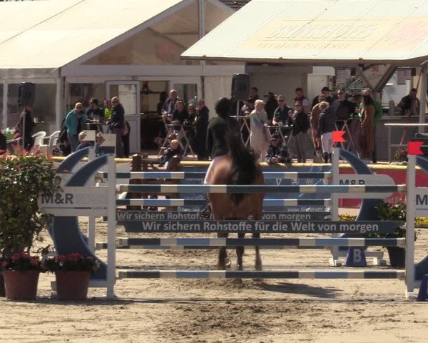 Lenklarer Reitertage 2022 (Werne)