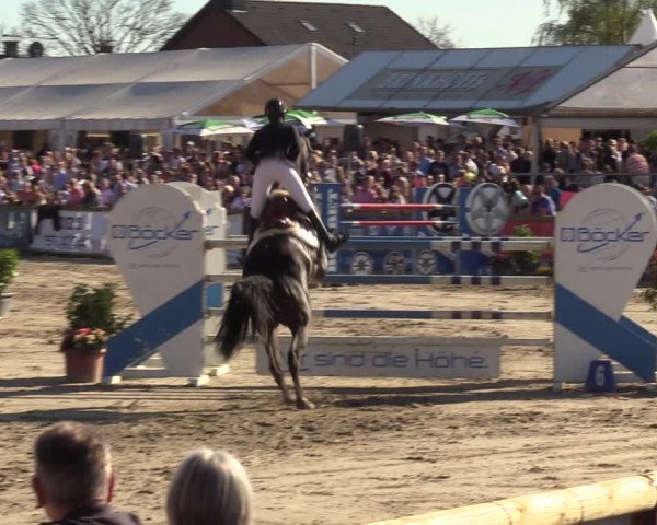 Lenklarer Reitertage 2022 (Werne)