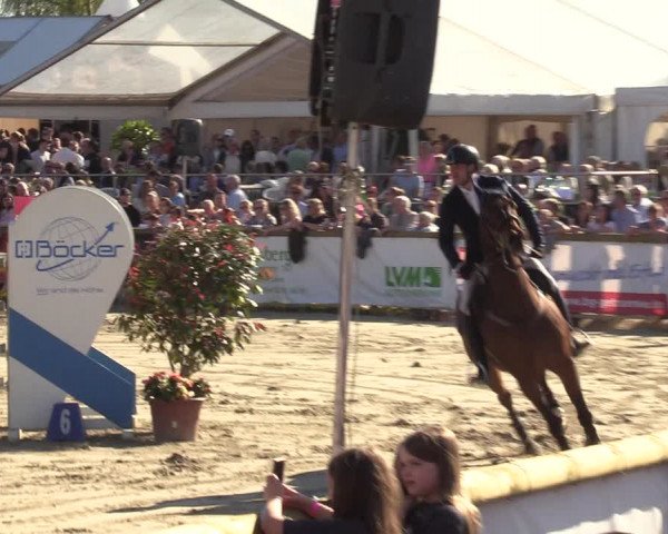 Lenklarer Reitertage 2022 (Werne)
