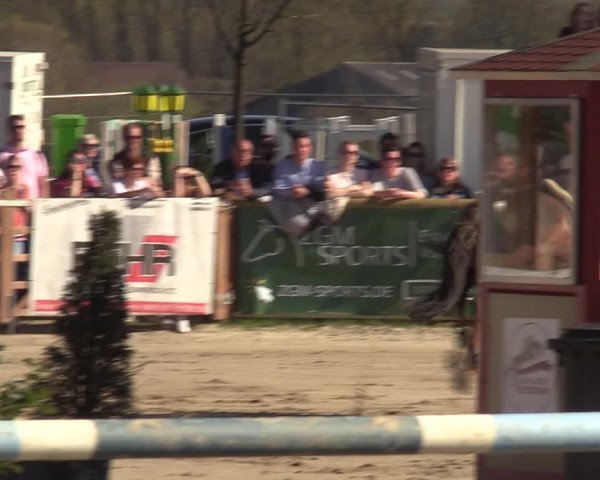 Lenklarer Reitertage 2022 (Werne)