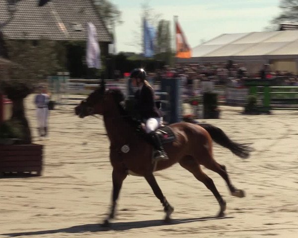 Lenklarer Reitertage 2022 (Werne)
