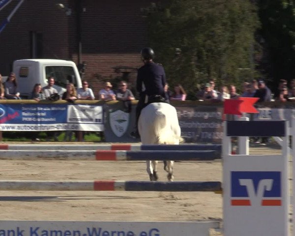Lenklarer Reitertage 2022 (Werne)