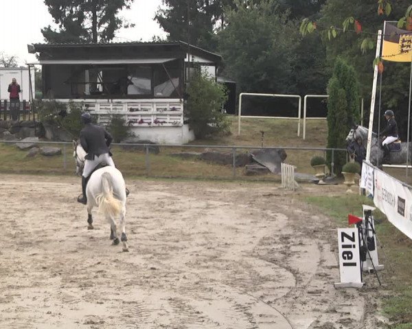 Reitturnier Neunkirchen-City 2021