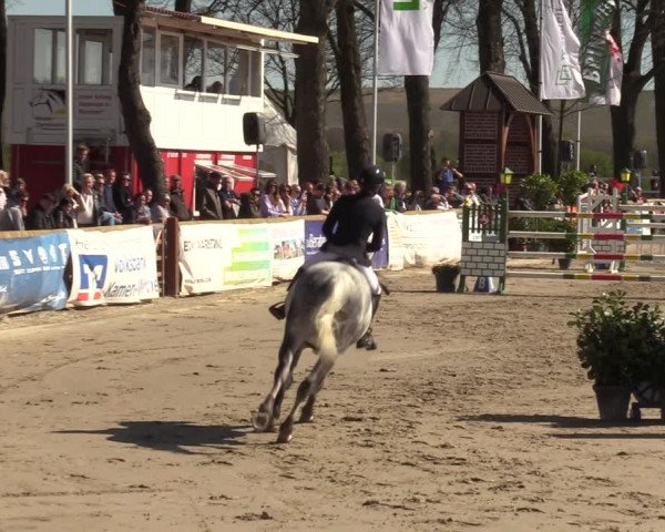 Lenklarer Reitertage 2022 (Werne)