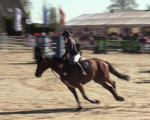 Reitturnier Werne-Lenklar 2022