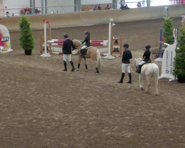Reitturnier Waghäusel-Wiesental 2022