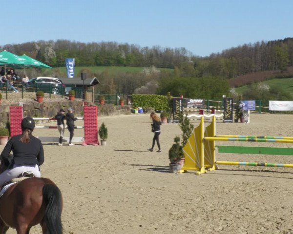 Reitturnier Lindlar-Süttenbach 2022