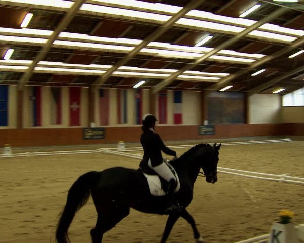 Reitturnier Weikersdorf am Steinfelde 2022