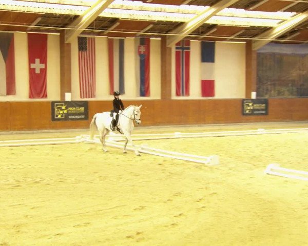 Reitturnier Weikersdorf am Steinfelde 2022