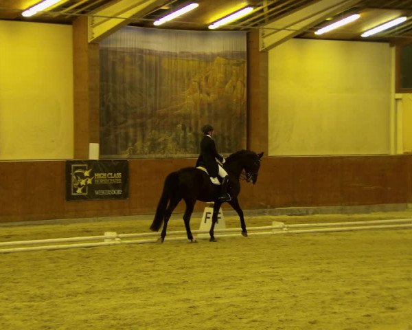 Reitturnier Weikersdorf am Steinfelde 2022