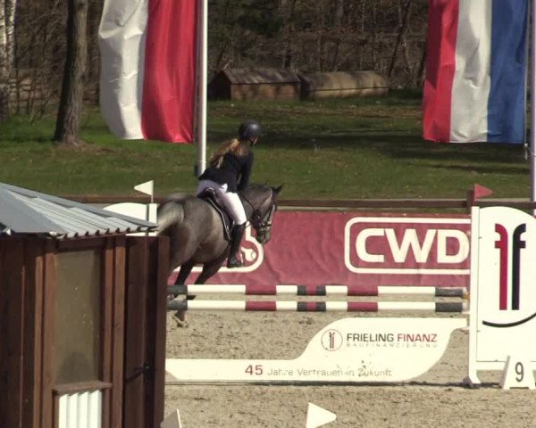 Reitturnier Westergellersen 2022