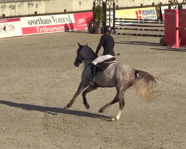 Reitturnier Westergellersen 2022
