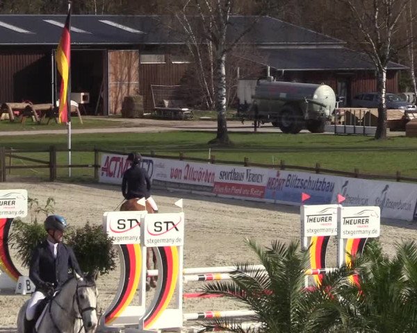 Reitturnier Westergellersen 2022
