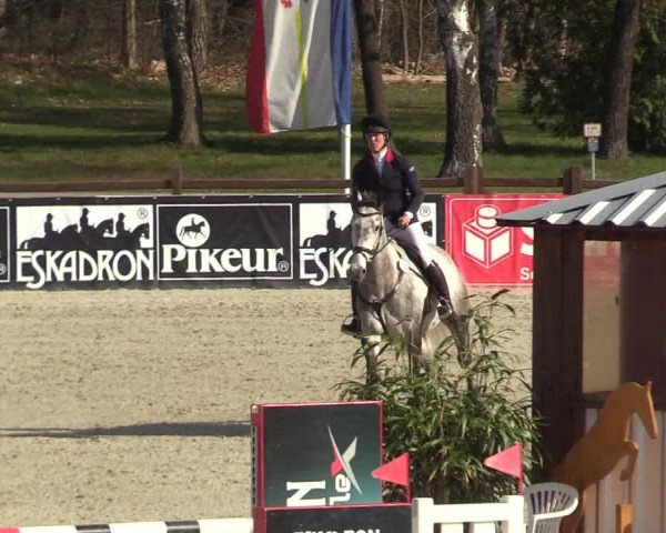 Reitturnier Westergellersen 2022