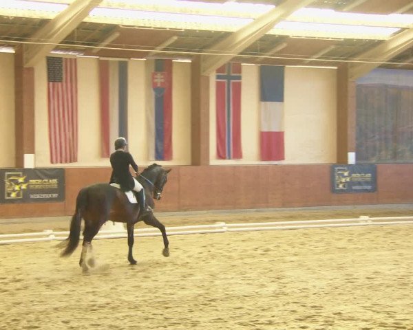 Reitturnier Weikersdorf am Steinfelde 2022