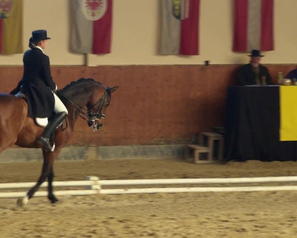 Reitturnier Weikersdorf am Steinfelde 2022