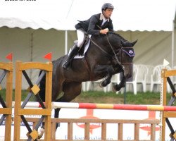 Springpferd Big Balou 4 (Oldenburger Springpferd, 2006, von Balou du Rouet)