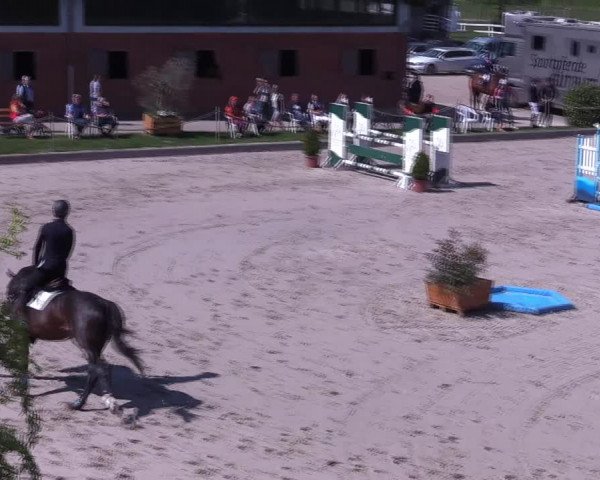 Reitturnier Monheim - Gut Blee 2022