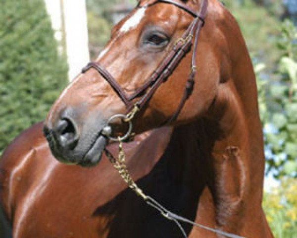 broodmare Voltige du Pas (Selle Français, 1987, from Alme)