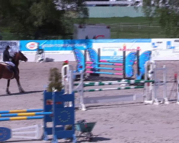 Reitturnier Monheim - Gut Blee 2022